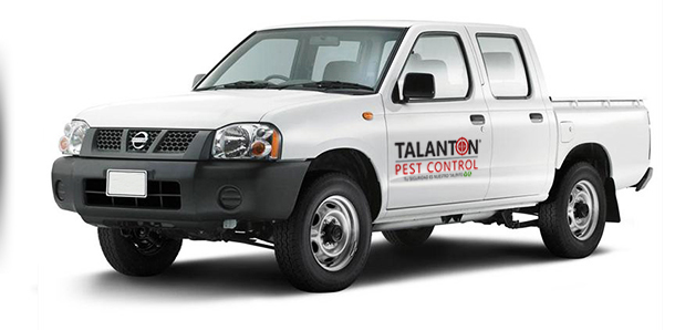Unidad de servicio Talanton Pest Control